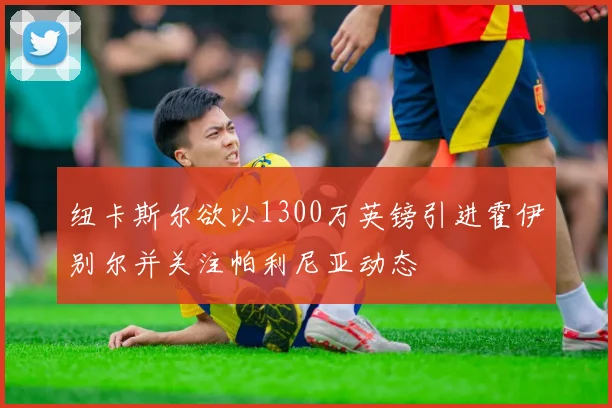纽卡斯尔欲以1300万英镑引进霍伊别尔并关注帕利尼亚动态